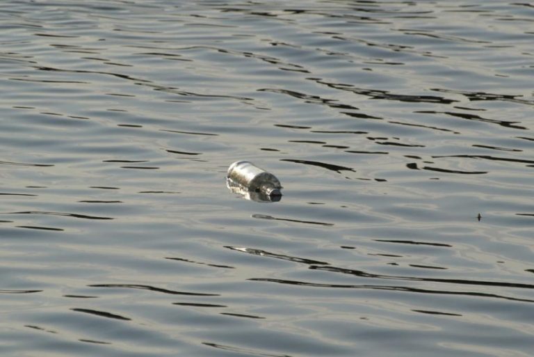 Treasure hunters find whiskey that sank into Ontario lake in 1964