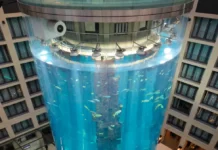 Berlin’s giant AquaDom hotel aquarium containing 1,500 fish explodes