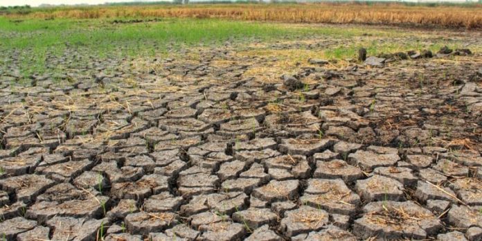 Climate Change