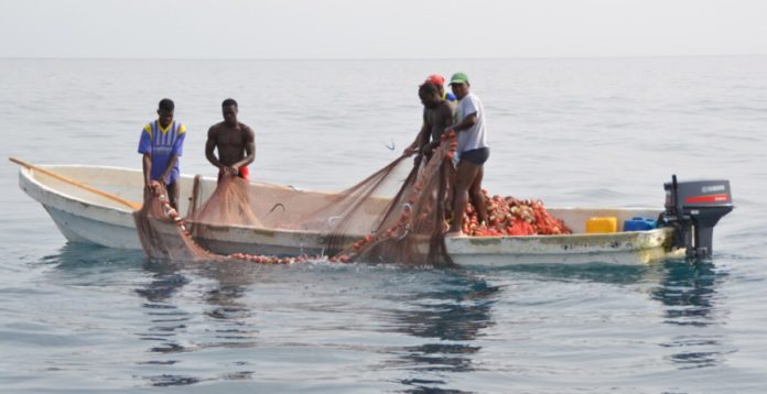 illegal fishing