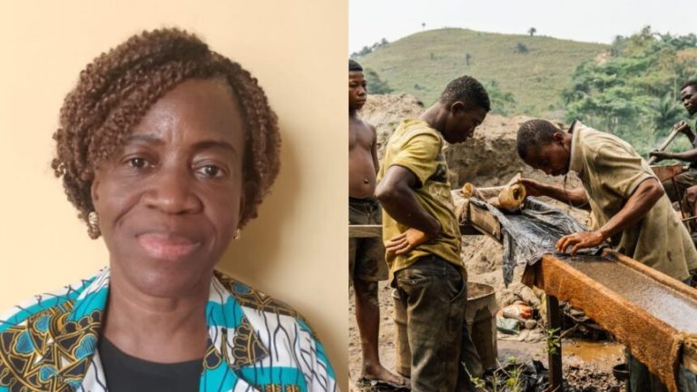 “Illegal Mining Is Not A Livelihood Crisis, It is Criminality” – Awula Serwah