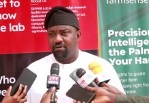 Deputy Agric Minister Allays Fears Over Crops Grown in Galamsey-Affected Areas Deputy Agric Minister Allays Fears Over Crops Grown in Galamsey-Affected Areas