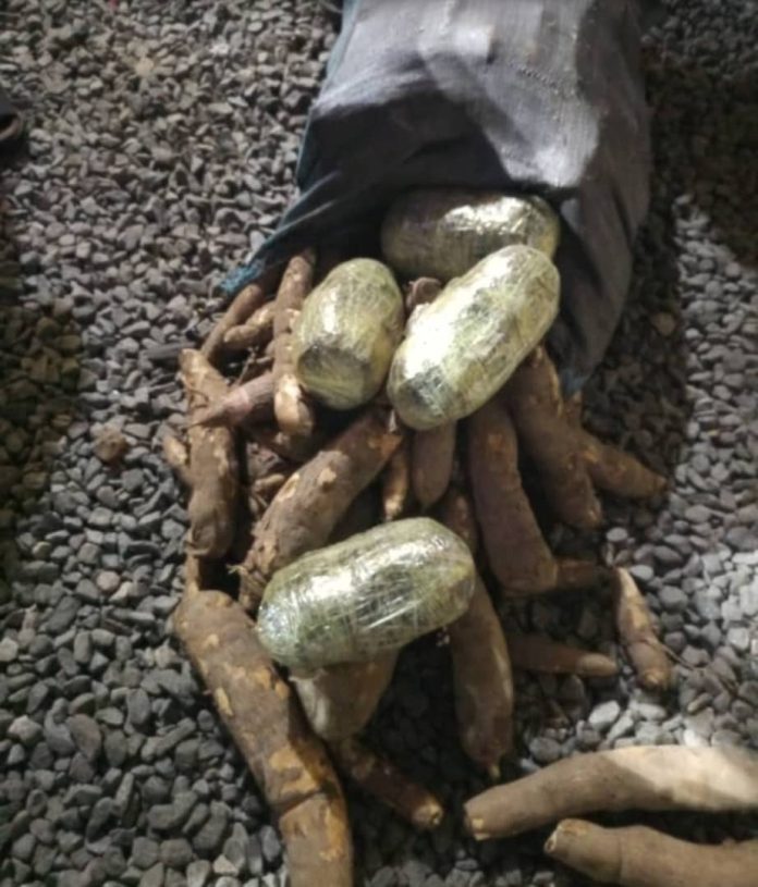 Ashaiman Drug Bust Hidden Among Cassava