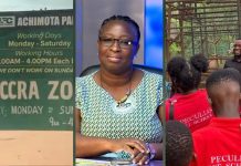 Children Make Up Over Half of Zoo Visitors – Forestry Commission Tourism Manager Children Make Up Over Half of Zoo Visitors - Forestry Commission Tourism Manager