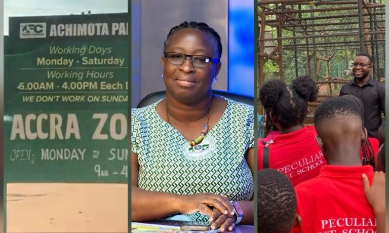 Children Make Up Over Half of Zoo Visitors – Forestry Commission Tourism Manager