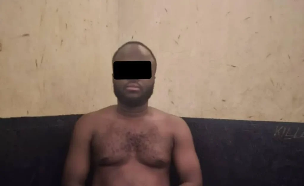 Timber Monitoring Team