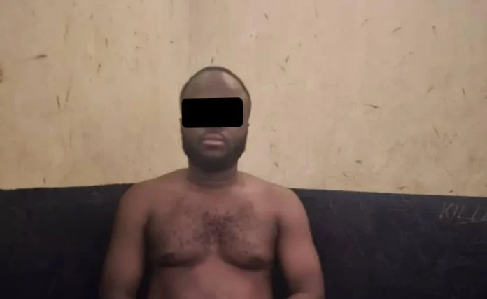 Timber Monitoring Team