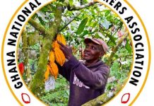 Cocoa Farmers Threaten Nationwide Protest Over Welfare Demands Cocoa Farmers Threaten Nationwide Protest Over Welfare Demands