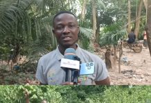 Residents of Numereso Forced to Climb Mountain for Mobile Network Access Residents of Numereso Forced to Climb Mountain for Mobile Network Access