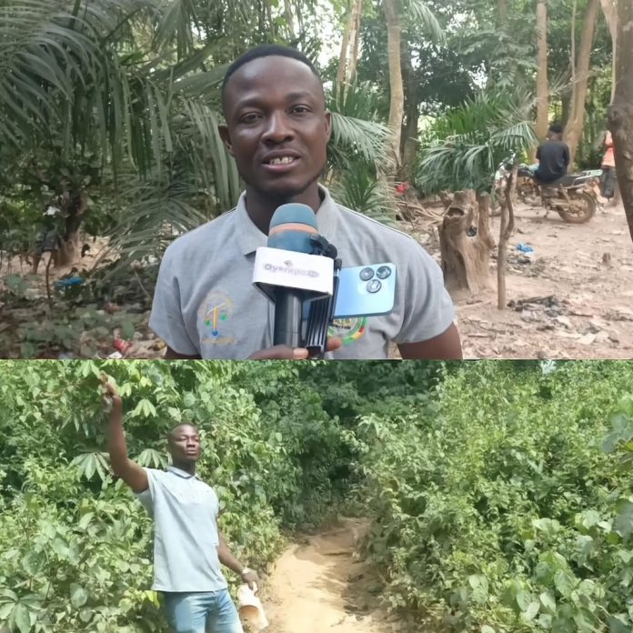 Residents of Numereso Forced to Climb Mountain for Mobile Network Access