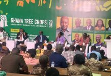 Cashew Emerges as Major Growth Driver at 2026 Ghana Tree Crops Investment Summit Cashew Emerges as Major Growth Driver at 2026 Ghana Tree Crops Investment Summit