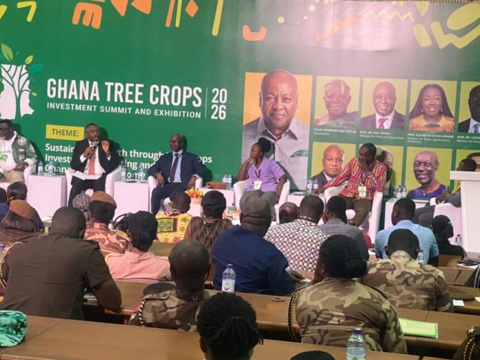 Cashew Emerges as Major Growth Driver at 2026 Ghana Tree Crops Investment Summit