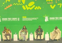 Mango and Rubber Drive Export Expansion at 2026 Tree Crops Investment Summit Mango and Rubber Drive Export Expansion at 2026 Tree Crops Investment Summit