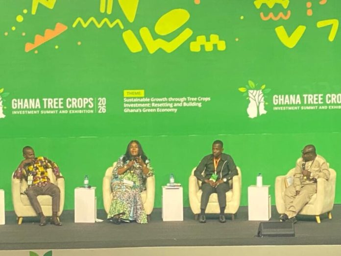 Mango and Rubber Drive Export Expansion at 2026 Tree Crops Investment Summit