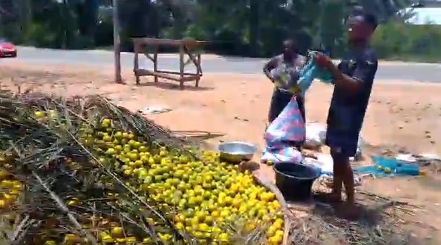 Anyinasusu Anyinasusu