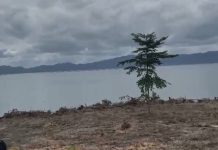 Lake Bosomtwe Under Threat as Unknown Encroachers Clear Vegetation Encroachment Threatens Lake Bosomtwe