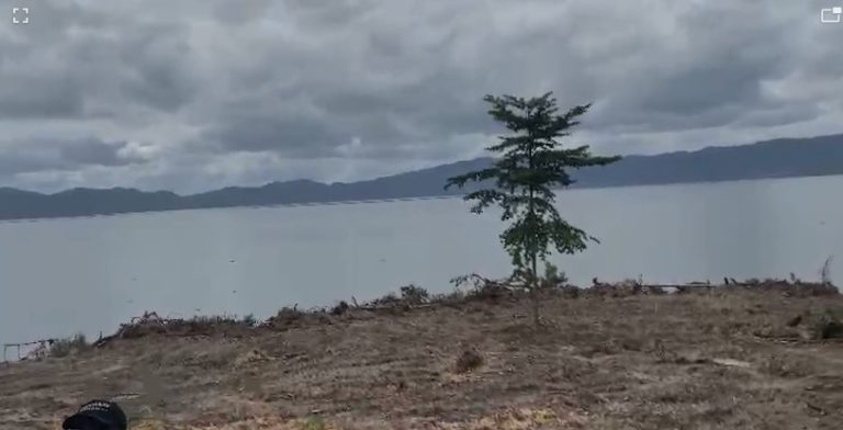 Lake Bosomtwe Under Threat as Unknown Encroachers Clear Vegetation