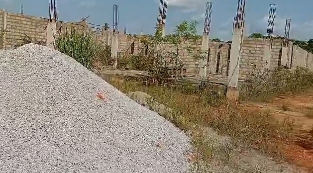 Reptiles Take Over Abandoned Agenda 111 Project at Diaso