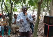 ‘Thieves Now Target Avocados Instead of Cocoa’ – Damoah Slams Falling Cocoa Prices ‘Thieves Now Target Avocados Instead of Cocoa’ – Damoah Slams Falling Cocoa Prices