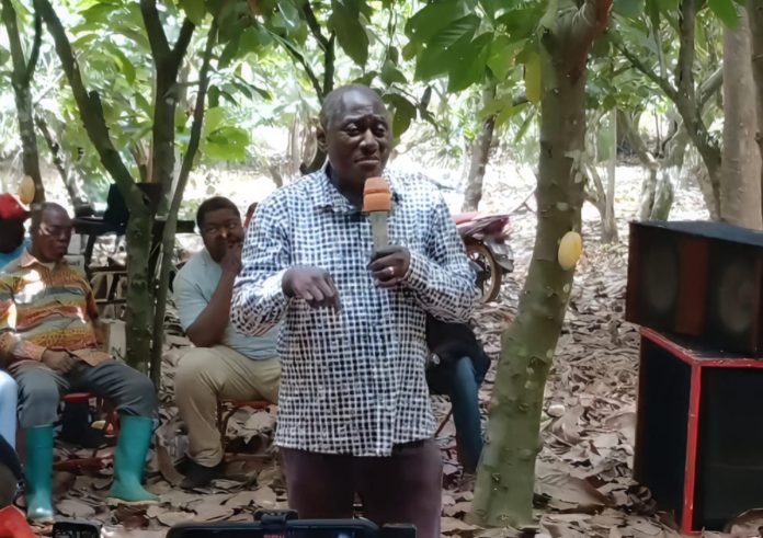 ‘Thieves Now Target Avocados Instead of Cocoa’ – Damoah Slams Falling Cocoa Prices