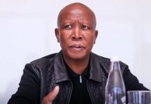 South African Politician Sentenced to Five Years Over Firearm Offences South African Politician Sentenced to Five Years Over Firearm Offences