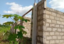 Reptiles Take Over Abandoned Agenda 111 Project at Diaso Reptiles Take Over Abandoned Agenda 111 Project at Diaso