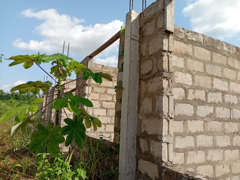 Reptiles Take Over Abandoned Agenda 111 Project at Diaso