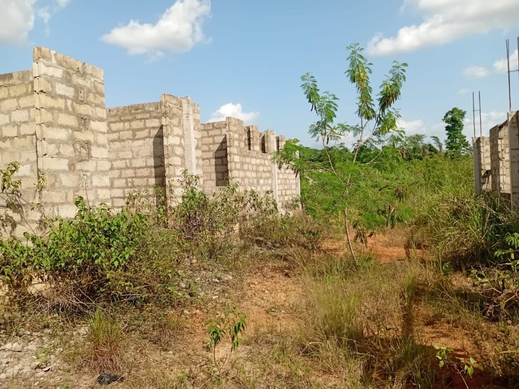 Reptiles Take Over Abandoned Agenda 111 Project at Diaso