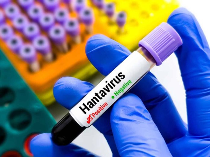 WHO Reports 12 Hantavirus Cases, Three Deaths as Monitoring Continues