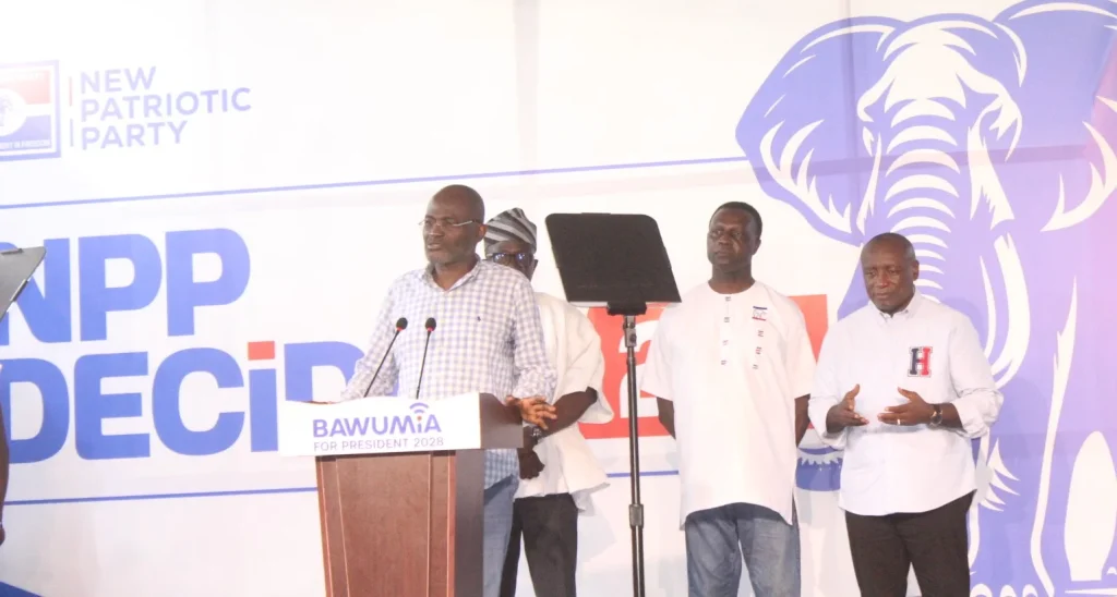 NPP's Sector Committees Cover Every Pain Point Ghanaians Face
