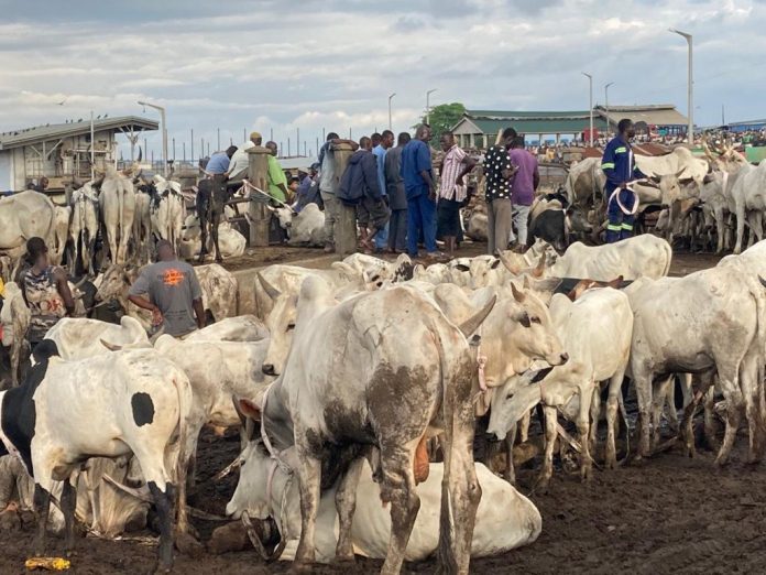MOFA Warns Against Unauthorized Livestock Markets Ahead of Islamic Festival