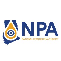 NPA Orders Flooded Fuel Stations to Suspend Operations Over Safety Concerns