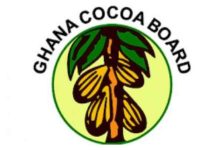 COCOBOD: Cocoa Farmers to Receive Same Price as Government Holds Rates Steady COCOBOD: Cocoa Farmers to Receive Same Price as Government Holds Rates Steady