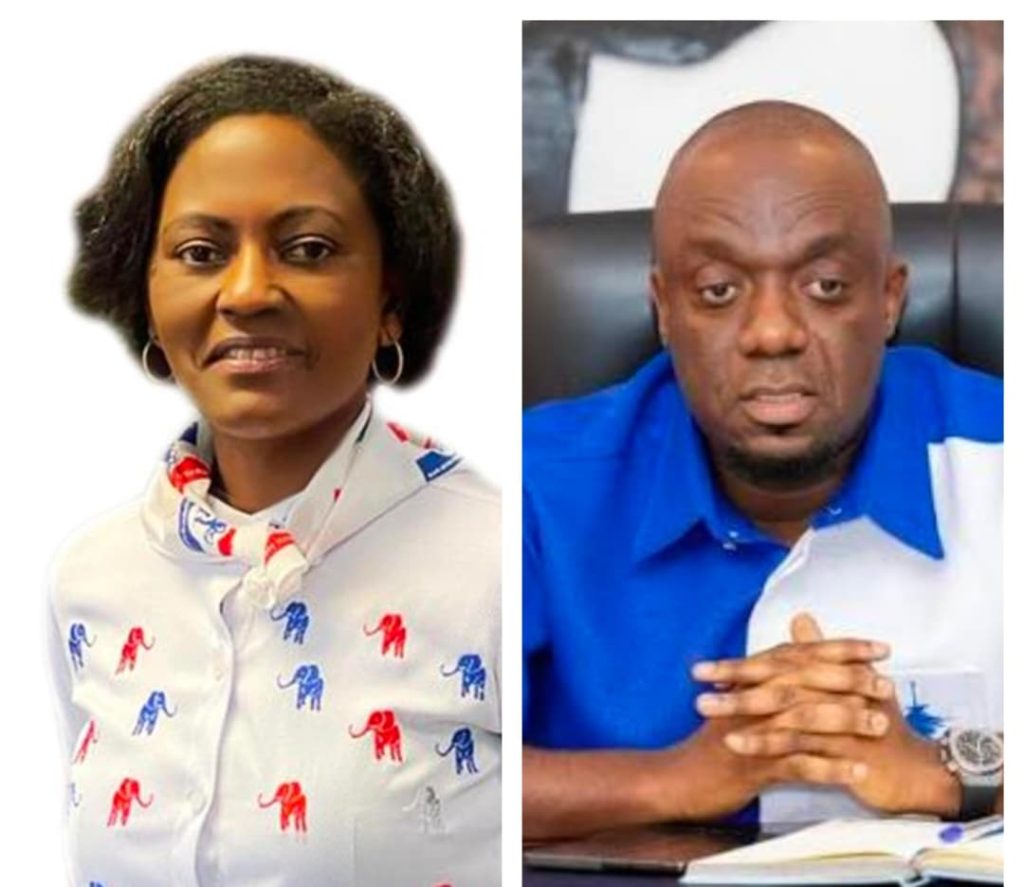 NPP-USA Votes to Use Own Bylaws for 2026 Elections; Defers National Guidelines to July Conference