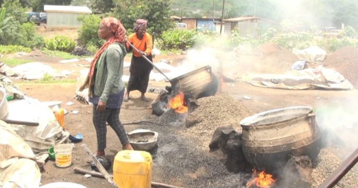 Climate Change Is Testing Ghana’s Palm Kernel Industry. These Women Are Finding Ways to Adapt Climate Change Is Testing Ghana’s Palm Kernel Industry. These Women Are Finding Ways to Adapt