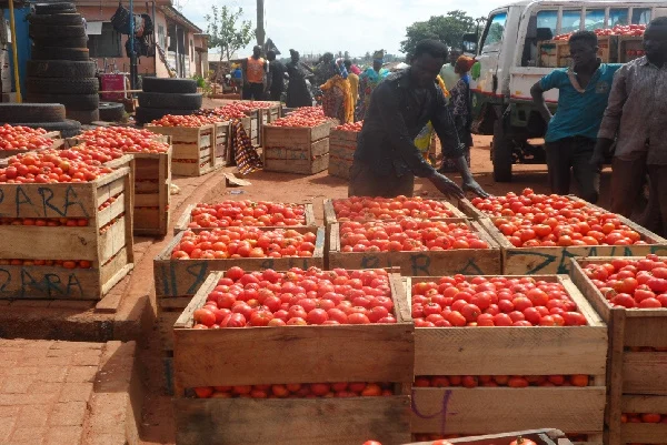 Burkina Faso reopen egg and tomato trade