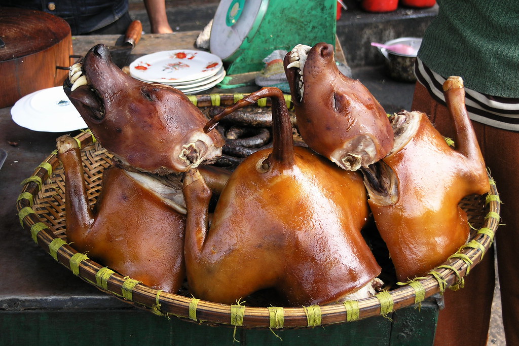 ICS Heads to Supreme Court Over Dog and Cat Meat Consumption