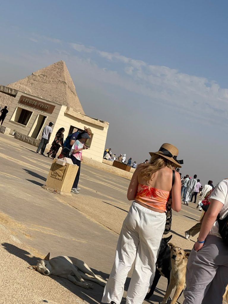 The Guardians of Egypt – Madugu Observes